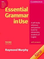 Essential Grammar in use (Pocket Guide)