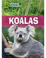 Koalas: C1. Advanced. 2600 headwords