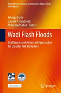 Wadi flash floods: challenges and advanced approaches for disaster risk reduction