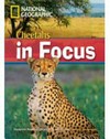 Cheetahs in focus. B2 upper-intermediate.2200headwords