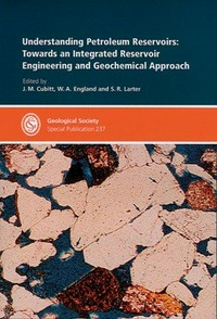 Understanding petroleum reservoirs: towards an integrated reservoir engineering and geochemical approach