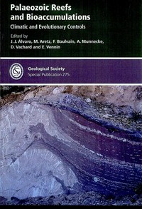 Palaeozoic reefs and bioaccumulations: Climatic and evolutionary controls